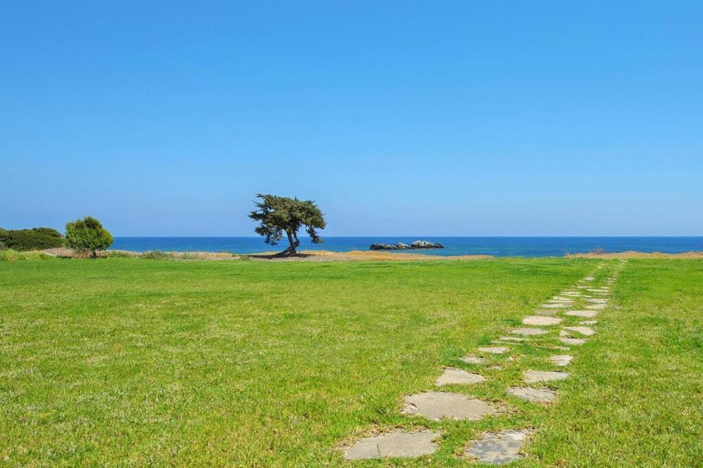 Horizon Line,